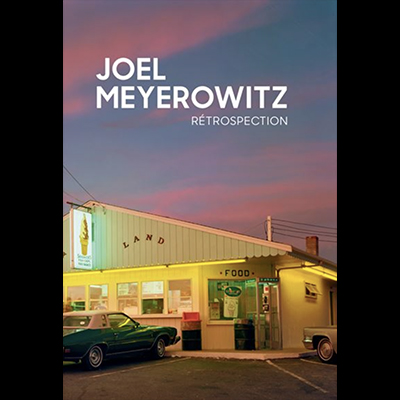 Retrospection, Joël Meyerowitz, 2018